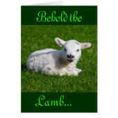 Osterleben im Lamm III (Vorne)