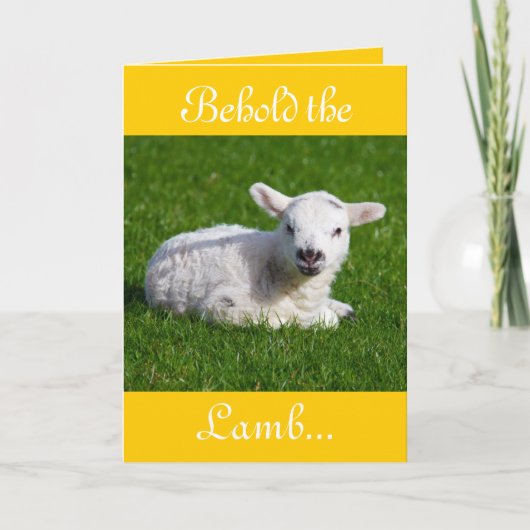 Osterleben: Lamb-II-Urlaubskarte Feiertagskarte (Vorderseite)