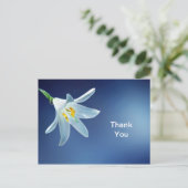 Osterlilie Danke, Postcard Postkarte (Stehend Vorderseite)