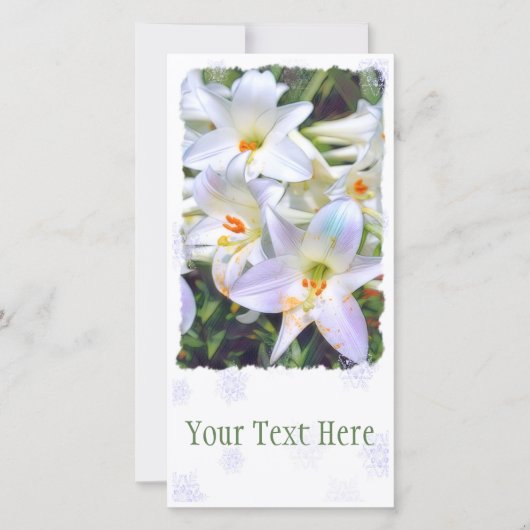 Osterlilie [Flachleitkarte] 案 内 状 Ankündigung (Vorderseite)