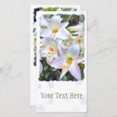 Osterlilie [Flachleitkarte] 案 内 状 Ankündigung (Vorne/Hinten)