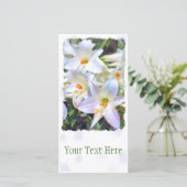 Osterlilie [Flachleitkarte] 案 内 状 Ankündigung (Stehend Vorderseite)