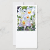 Osterlilie [Flachleitkarte] 案 内 状 Ankündigung (Rückseite)