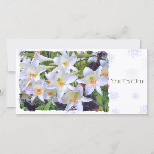 Osterlilie [Flachleitkarte] 案 内 状 Ankündigung (Vorderseite)