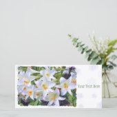 Osterlilie [Flachleitkarte] 案 内 状 Ankündigung (Stehend Vorderseite)