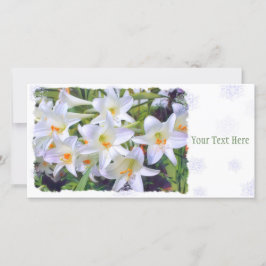 Osterlilie [Flachleitkarte] 案 内 状 Ankündigung