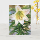 Osterlilie Karte (Gelbe Blume)
