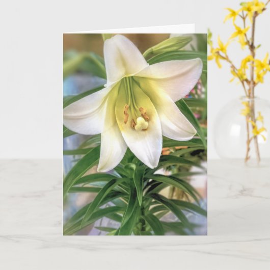 Osterlilie Karte (Gelbe Blume)
