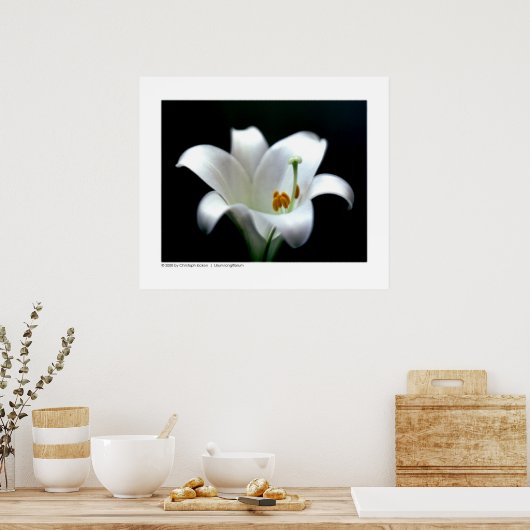 Osterlilie | Lilium longiflorum Poster (Küche)