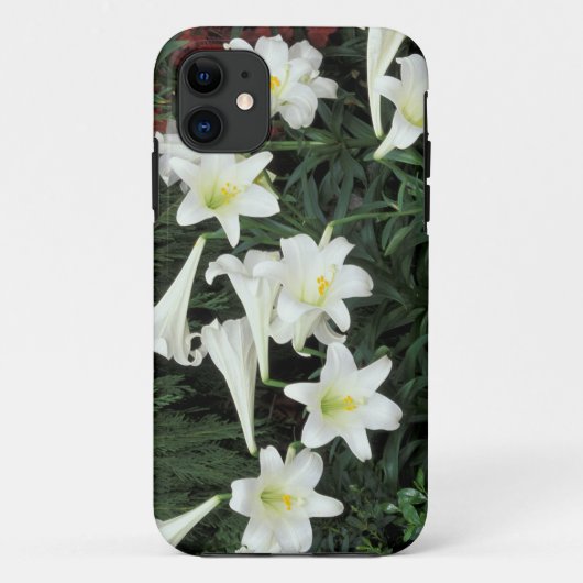 Osterlilie (Lilium regale) Case-Mate iPhone Hülle (Rückseite)