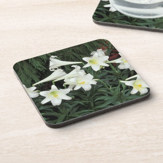 Osterlilie (Lilium regale) Getränkeuntersetzer (Linke Seite)