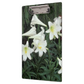 Osterlilie (Lilium regale) Klemmbrett (Links)