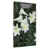 Osterlilie (Lilium regale) Klemmbrett (Rechts)