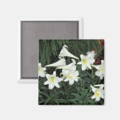 Osterlilie (Lilium regale) Magnet (Vorderseite/Rückseite)