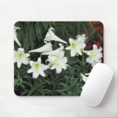 Osterlilie (Lilium regale) Mousepad (Mit Mouse)