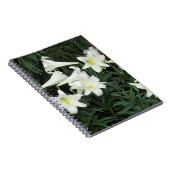 Osterlilie (Lilium regale) Notizblock (Rechte Seite)
