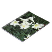 Osterlilie (Lilium regale) Notizblock (Linke Seite)