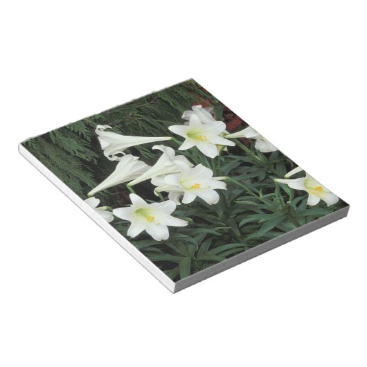 Osterlilie (Lilium regale) Notizblock (angewinkelt)