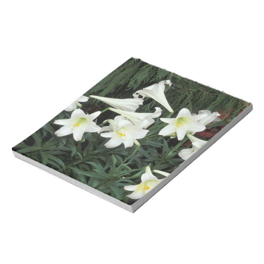 Osterlilie (Lilium regale) Notizblock (Rotiert)