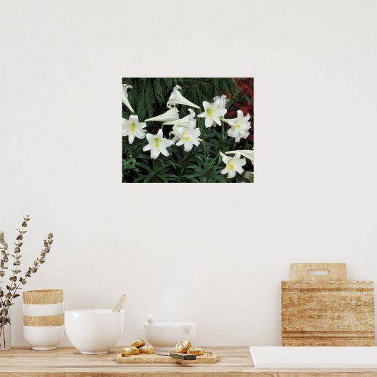 Osterlilie (Lilium regale) Poster (Küche)