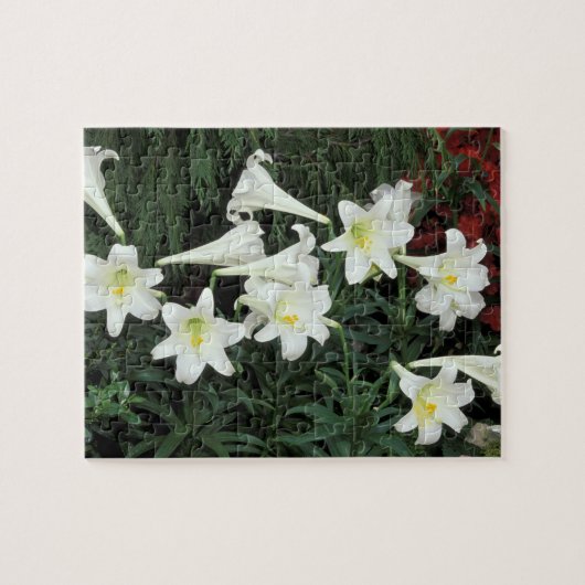 Osterlilie (Lilium regale) Puzzle (Horizontal)