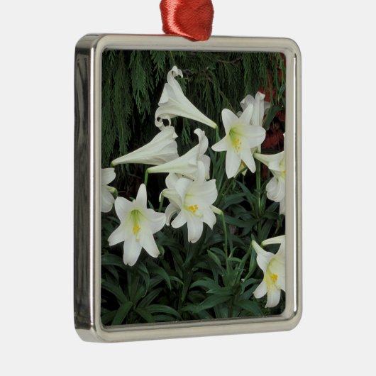 Osterlilie (Lilium regale) Silbernes Ornament (Rechts)
