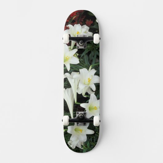 Osterlilie (Lilium regale) Skateboard (Vorderseite)