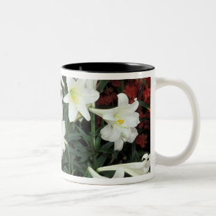 Osterlilie (Lilium regale) Zweifarbige Tasse