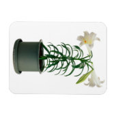 Osterlilie Magnet (Horizontal)