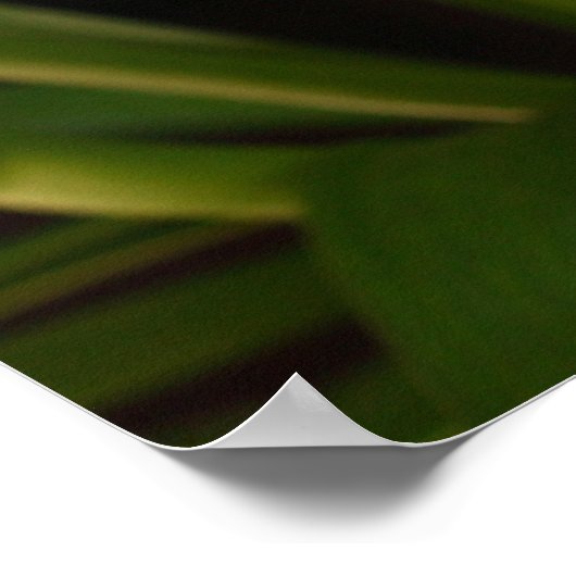 Osterlilie Poster (Ecke)