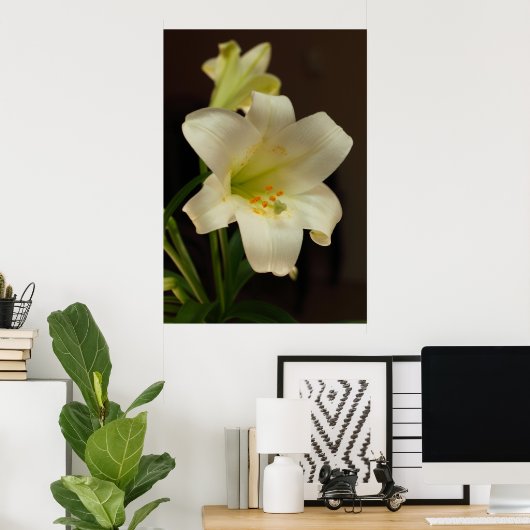 Osterlilie Poster (Heimbüro)