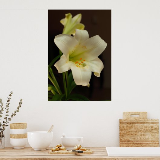Osterlilie Poster (Küche)