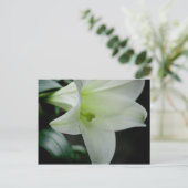 Osterlilie ・ Postkarte (Stehend Vorderseite)