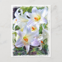 Osterlililie [Postkarte] ポ ト ド Postkarte