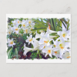 Osterlililie [Postkarte] ポ ト ド Postkarte