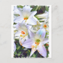 Osterlililie [Postkarte] ポ ト ド Postkarte