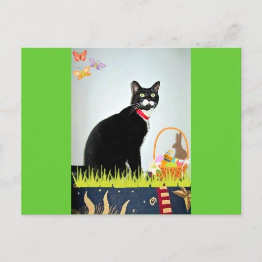 Osterlucy Feiertagspostkarte (Vorderseite)