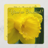 Ostermonumentale Einladungen Osterkarten Maßgeschn (Vorne/Hinten)