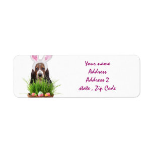 Ostern Basset Hound