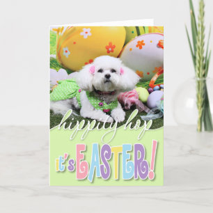 Ostern - Bichon Frise - Mia Feiertagskarte