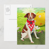 Ostern - BretagneSpaniel - Elliott Feiertagspostkarte (Vorne/Hinten)