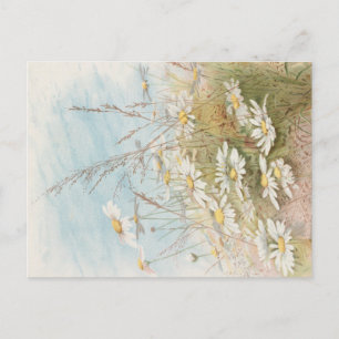 "Ostern bringt den knospenden Frühling"  Postkarte