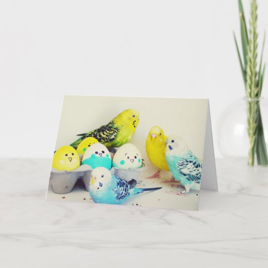 Ostern Budgies Feiertagskarte (Vorderseite)
