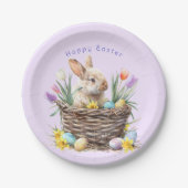 Ostern Bunny Egg Korb Frühlingstraining Pappteller (Vorderseite)