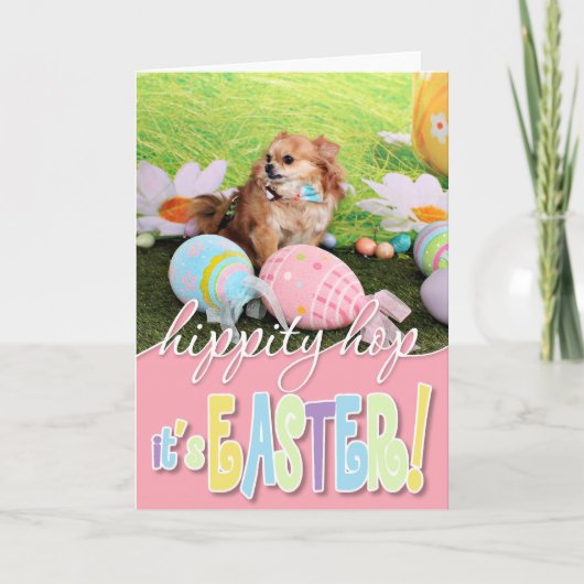 Ostern - Chihuahua - Carlito Feiertagskarte (Vorderseite)