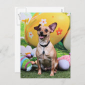 Ostern - Chipin Rockwell - Chihuahua Rambo Feiertagspostkarte (Vorne/Hinten)