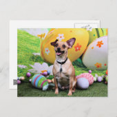 Ostern - Chipin Rockwell - Chihuahua Rambo Feiertagspostkarte (Vorne/Hinten)