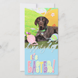 Ostern - Deutscher Kurzzeitpointer - Kaiser Feiertagskarte