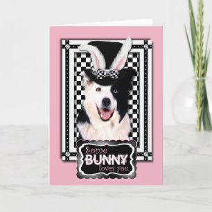 Ostern - etwas Häschen-Lieben Sie - Grenzcollie Feiertagskarte