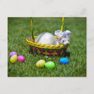 Ostern-Frettchen-Postkarte Feiertagspostkarte